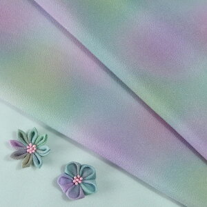 z߂ Fڂ() zIWi 10cmP ؂蔄