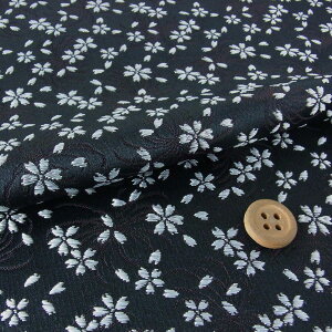 En()(/Vo[) 10cmP ؂蔄