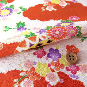 z߂񐶒n Ԍ䏊ԂɎ܂(IW) 10cmP ؂蔄