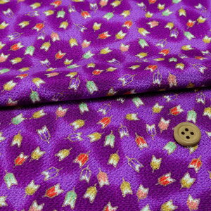 ߂񐶒n ڂɏȖH() 10cmP ؂蔄