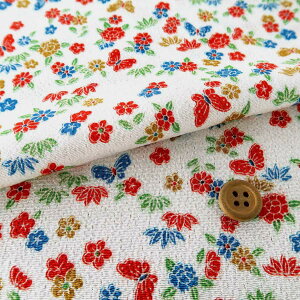 ߂񐶒n ԕ() 10cmP ؂蔄