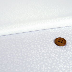 WJ[hD () 10cmP ؂蔄