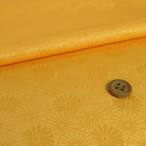 WJ[hD e䕿(RF) 10cmP ؂蔄