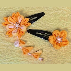 ܂ݍ׍HLbgEz߂ō Ԃ̃wAs