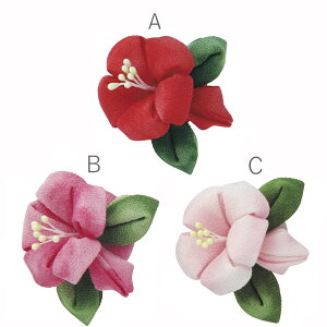 Lbg ͂߂Ă̂܂ݍ׍H nCrXJX̃u[`