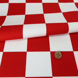 LoXn/z s(/) 10cmP ؂蔄