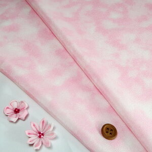 z߂񐶒n ߂ڂ(VFsN) 10cmP ؂蔄