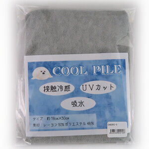 N[pCn(O[) ڐG⊴ UVJbg/78×50cm