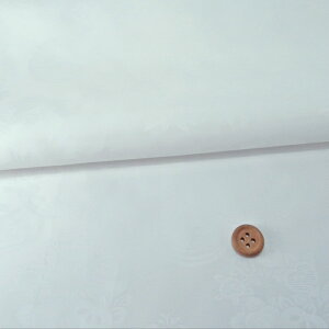 n60cm(͗lE) 10cmP ؂蔄