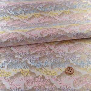 En() _ɔ() 10cmP ؂蔄