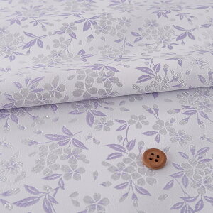 En() R(/F) 10cmP ؂蔄