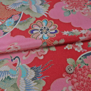 z߂񐶒n Dc_ɒ߂Ƌe(/sN) 10cmP ؂蔄