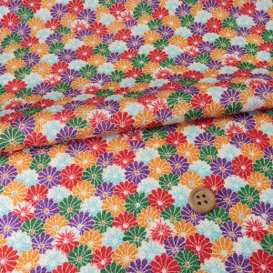 ߂񐶒nEel(tF) 10cmP ؂蔄