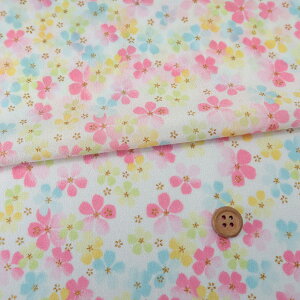 z߂񐶒n ӂ(/F) 10cmP ؂蔄