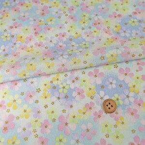 z߂񐶒n ӂ(F) 10cmP ؂蔄