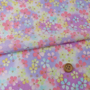 z߂񐶒n ӂ() 10cmP ؂蔄