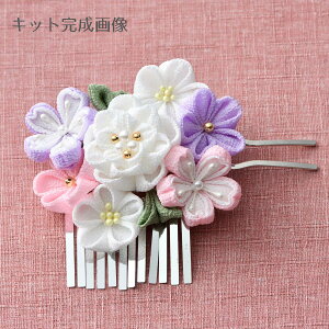 ������߂�܂ݍ׍H�L�b�g ���E���񂴂�(��)