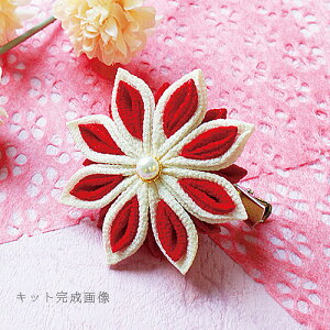 ܂ݍ׍HLbg Ԃ24/g̃RT[WNbv(܂݁j