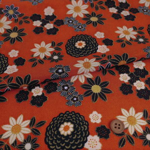 z߂񐶒n _ʘaԕ(Ԋ`F) 10cmP ؂蔄