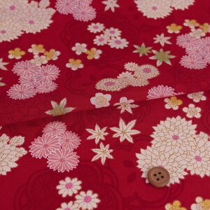 z߂񐶒n AɏtH() 10cmP ؂蔄