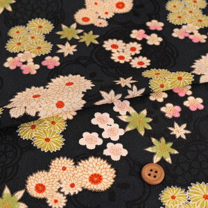 z߂񐶒n AɏtH() 10cmP ؂蔄