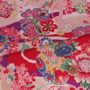 z߂EڂɉԂ̂ƕl() 10cmP ؂蔄