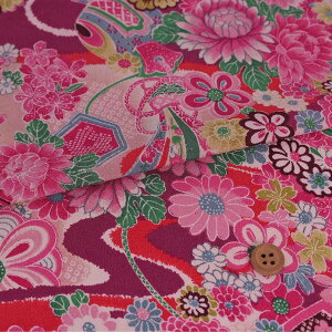 z߂񐶒n ڂɉԂ̂ƕl(sN/) 10cmP ؂蔄