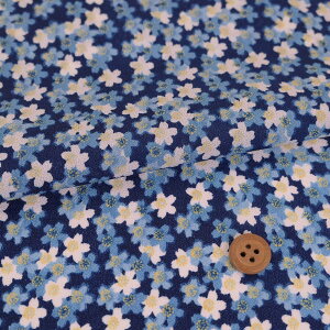 z߂񐶒n (F) 10cmP ؂蔄