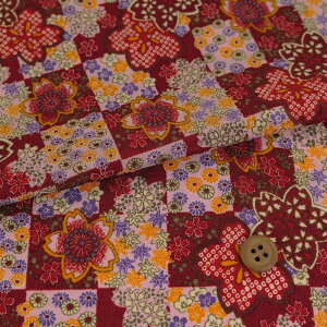 z߂񐶒n sɎlG() 10cmP ؂蔄