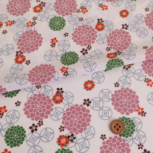 |߂񐶒n ɏtH() 10cmP ؂蔄