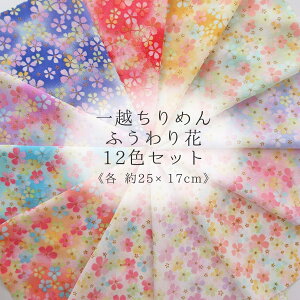 z߂񐶒n ӂ12FZbg 25×17cm