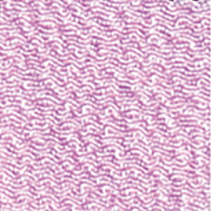 �܂ݍ׍H�p �J�b�g�ς݈�z����߂� 18�~���p�E�P�F30����