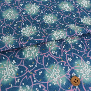 ߂񐶒nEԂтd() 10cmP ؂蔄