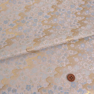 En() ɏȎ}~(F) 10cmP ؂蔄