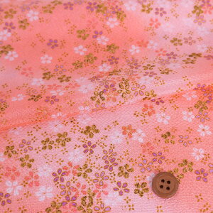 ߂񐶒nE(sN) 10cmP ؂蔄