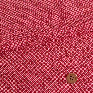 ߂񐶒nEDcڂ() 10cmP ؂蔄