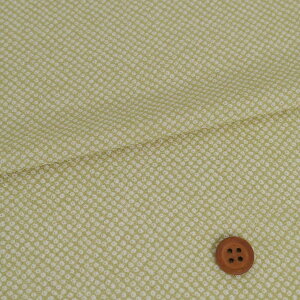 |߂񐶒n Ȃ̂(ᑐF) 10cmP ؂蔄