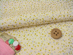 ߂񐶒nE₠(Ȃ) 10cmP ؂蔄