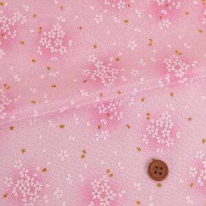 ߂񐶒nE(sN) 10cmP ؂蔄