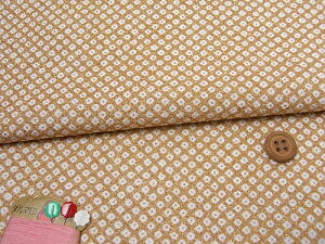 ߂񐶒nEDcڂ() 10cmP ؂蔄