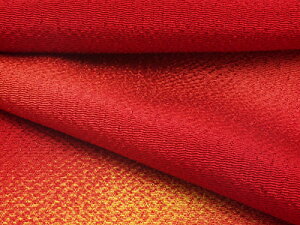 ߂񐶒nOf[V(t) 10cmP ؂蔄