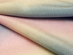 ߂񐶒nOf[V(t̐) 10cmP ؂蔄