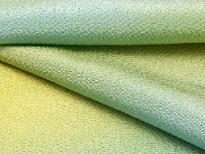 ߂񐶒nOf[V(萁) 10cmP ؂蔄