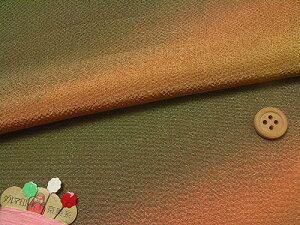 ߂񐶒nOf[V(H) 10cmP ؂蔄