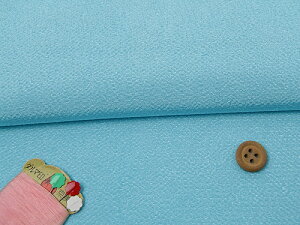 n߂񐶒n(F) 10cmP ؂蔄