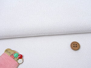 n߂񐶒n() 10cmP ؂蔄