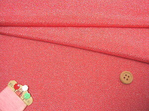 ߂񐶒nEL() 10cmP ؂蔄