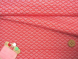 ߂񐶒nECg() 10cmP ؂蔄