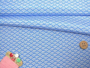 ߂񐶒nECg() 10cmP ؂蔄