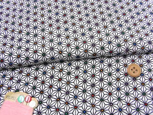 ߂񐶒nE_̗t(/) 10cmP ؂蔄